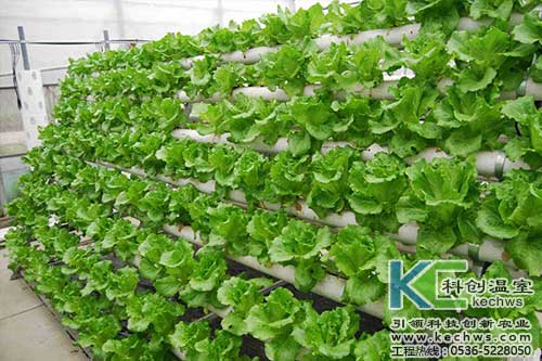 無土栽培，無土栽培技術，無土栽培設備