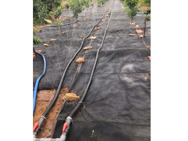 無土栽培，無土栽培技術，無土栽培設備