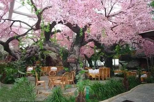 無土栽培，無土栽培技術，無土栽培設備