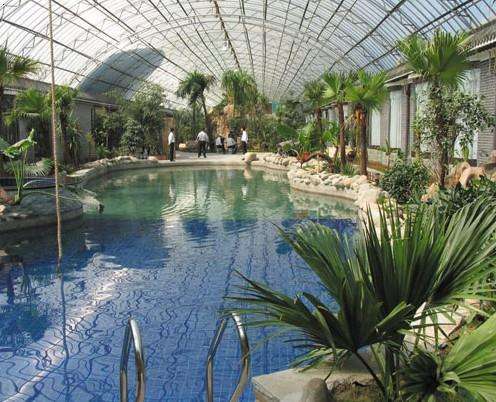 無土栽培，無土栽培技術(shù)，無土栽培設(shè)備