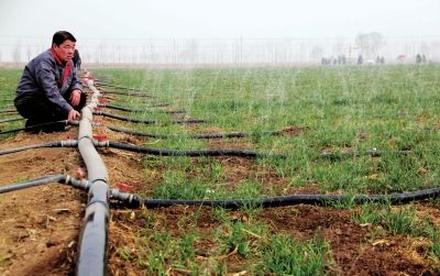 無(wú)土栽培，無(wú)土栽培技術(shù)，無(wú)土栽培設(shè)備