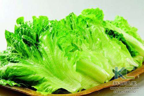 無土栽培，無土栽培技術(shù)，無土栽培設(shè)備