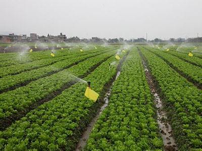 無土栽培，無土栽培技術(shù)，無土栽培設(shè)備