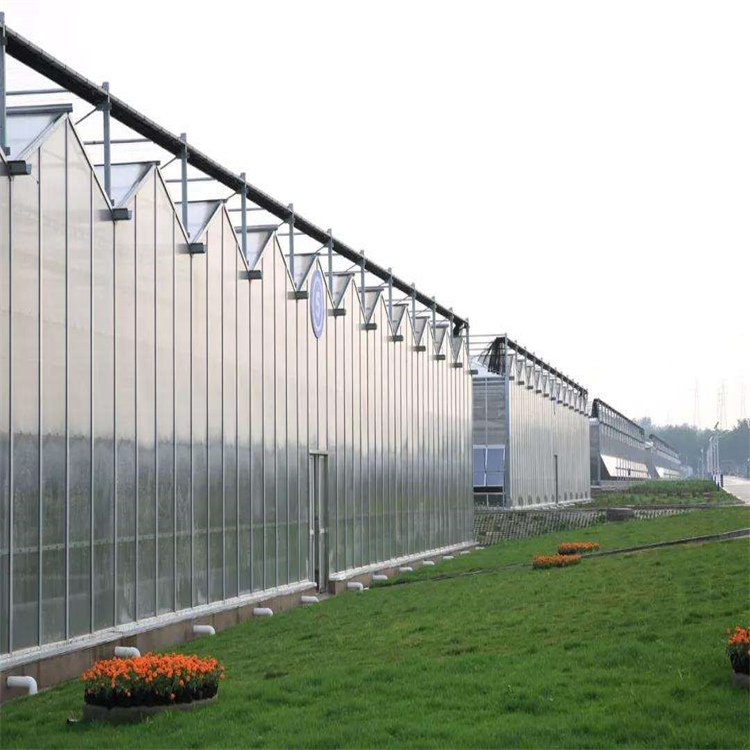 無土栽培，無土栽培技術，無土栽培設備