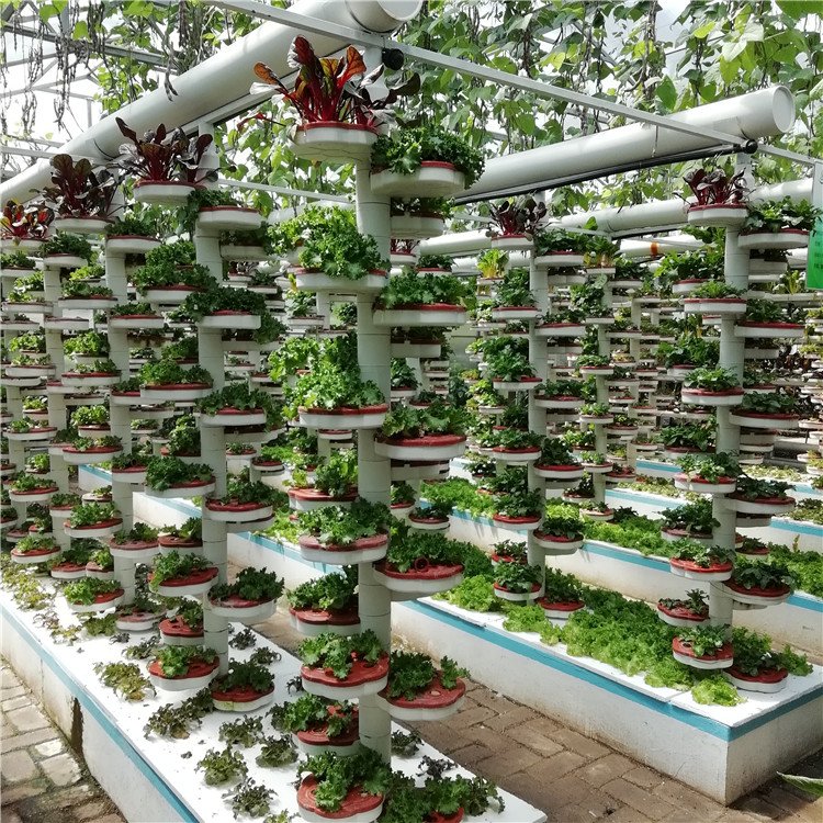 無土栽培，無土栽培技術，無土栽培設備