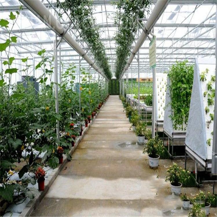 無(wú)土栽培，無(wú)土栽培技術(shù)，無(wú)土栽培設(shè)備