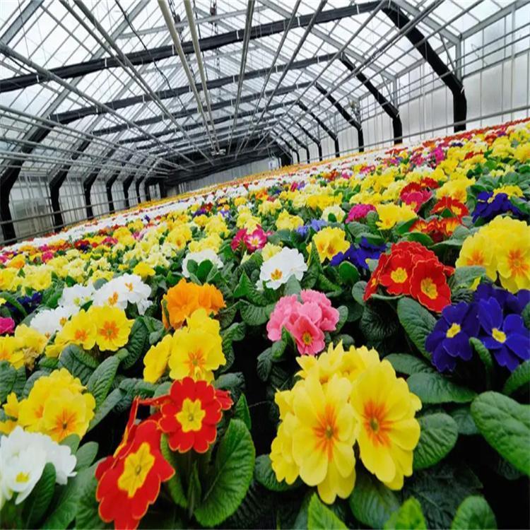 無(wú)土栽培，無(wú)土栽培技術(shù)，無(wú)土栽培設(shè)備