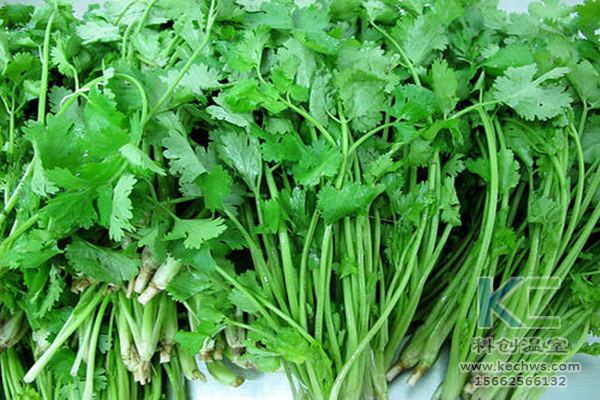 無(wú)土栽培，無(wú)土栽培技術(shù)，無(wú)土栽培設(shè)備