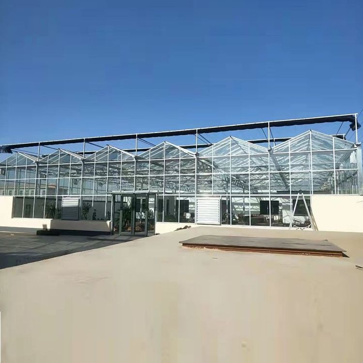 無土栽培，無土栽培技術，無土栽培設備