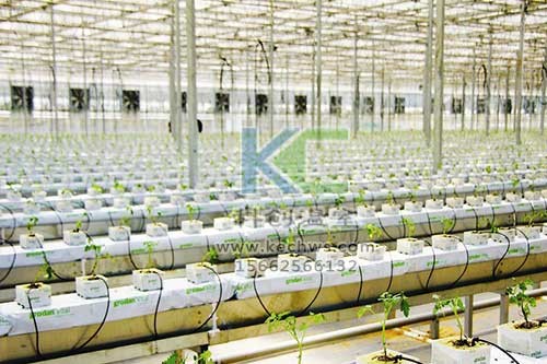 無土栽培，無土栽培技術(shù)，無土栽培設(shè)備