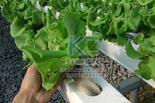 無土栽培，無土栽培技術，無土栽培設備