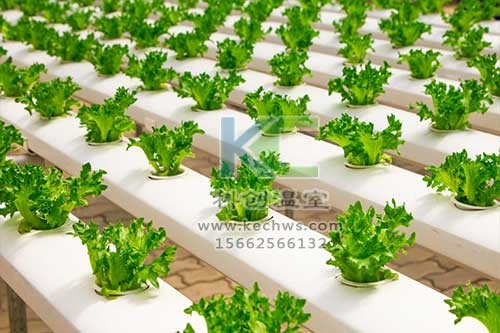 無土栽培，無土栽培技術，無土栽培設備