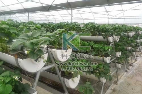 無土栽培，無土栽培技術，無土栽培設備