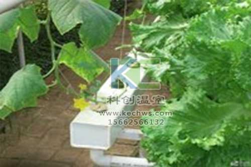 無土栽培，無土栽培技術(shù)，無土栽培設(shè)備