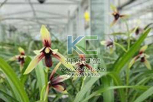 無土栽培，無土栽培技術，無土栽培設備