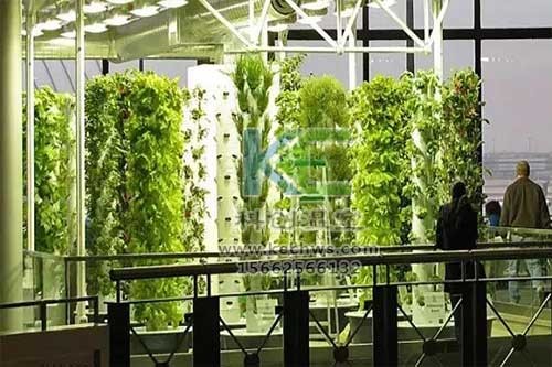 無土栽培，無土栽培技術，無土栽培設備