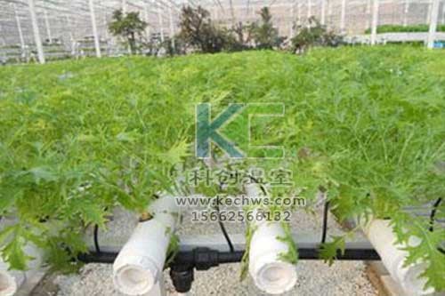 無土栽培，無土栽培技術，無土栽培設備