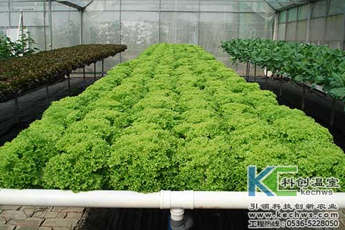 無土栽培，無土栽培技術，無土栽培設備