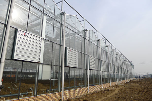 無土栽培，無土栽培技術，無土栽培設備