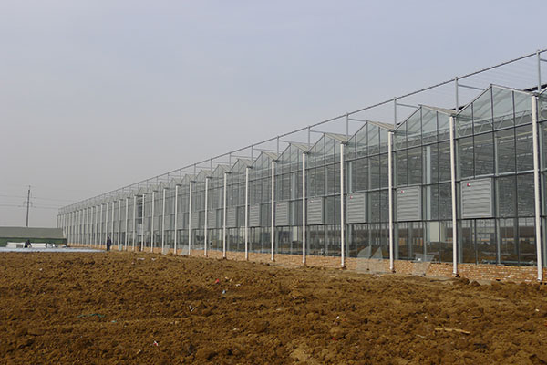 無土栽培，無土栽培技術，無土栽培設備