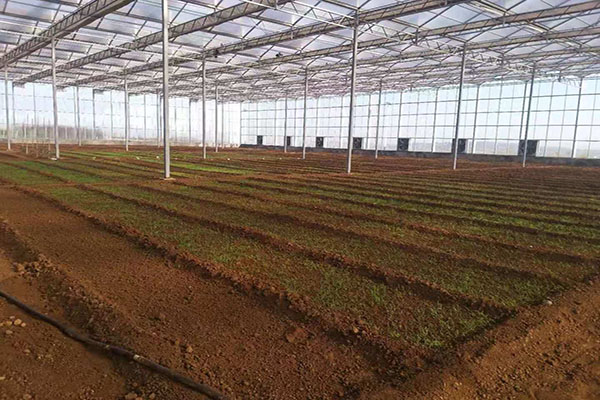 無土栽培,無土栽培技術(shù),無土栽培設(shè)備