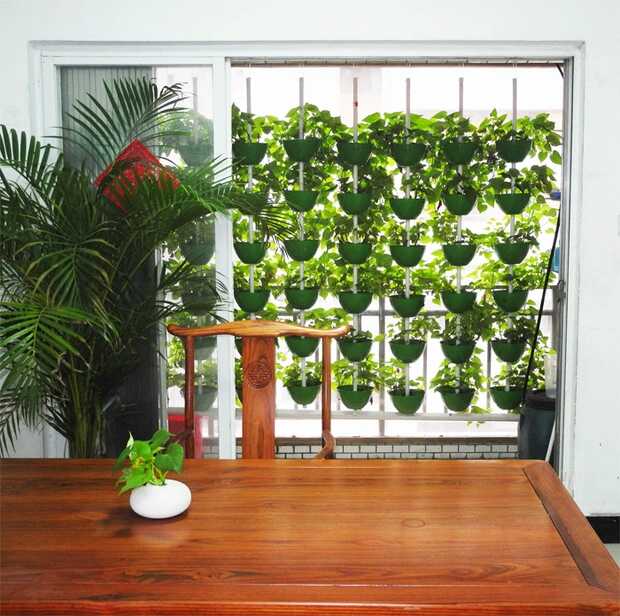 無土栽培，無土栽培技術，無土栽培設備